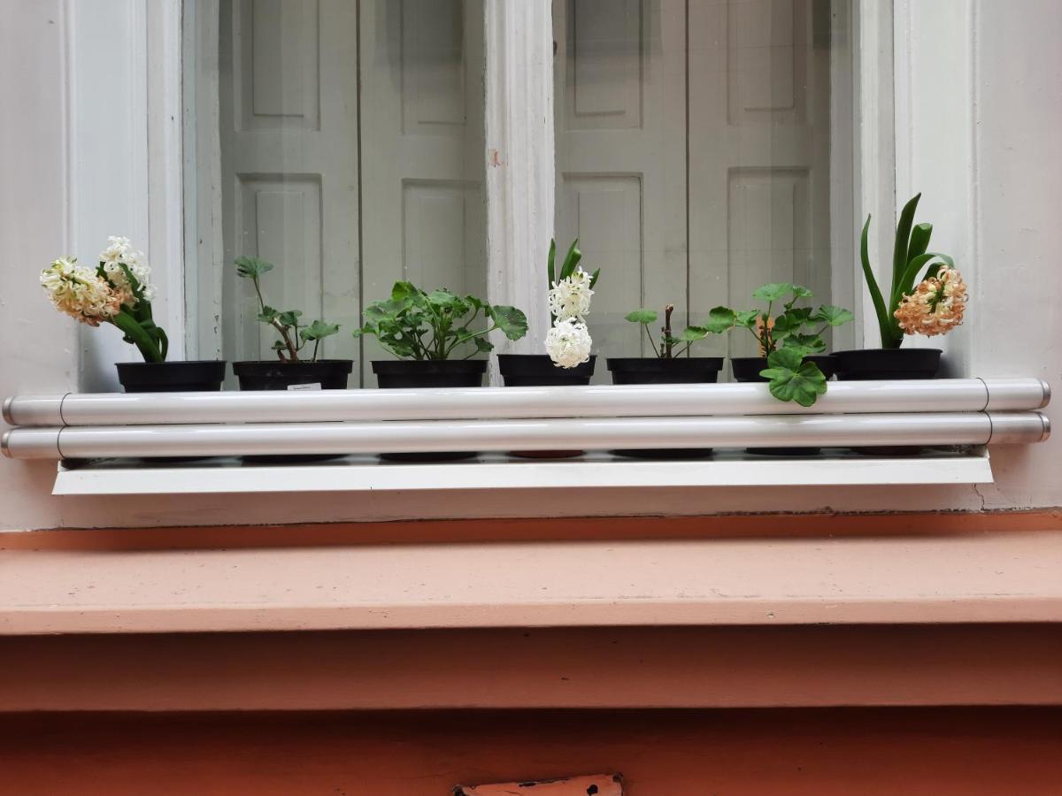 Downtown Prague Minimalistic Room In Flatshare Praga Exterior foto
